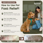 Hypochlorous Acid Spray for Dogs - Hot Spot Treatment & Allergy Relief - Dog Skin Anti Itching & Paw Licking Remedy - Wound Cleanser Spray (2.2 FL OZ) (Pack of 1)