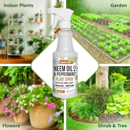 Mighty Mint Neem Oil & Peppermint Cold-Pressed Plant Nutrient Spray, 16oz - 2 Pack