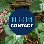 BioAdvanced Brush Killer Plus, Ready-to-Use, 1.3 Gal – Kills Tough Brush Roots & All, Kills Poison Ivy (Pack of 2)