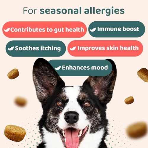 140 Dog Allergy Relief Chews with Colostrum, Vitamin C, & Bee Pollen - Vet-Formulated Dog Allergy Chews for Itchy Skin, Hot Spots, Irritation, & Gut Health