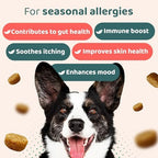 140 Dog Allergy Relief Chews with Colostrum, Vitamin C, & Bee Pollen - Vet-Formulated Dog Allergy Chews for Itchy Skin, Hot Spots, Irritation, & Gut Health