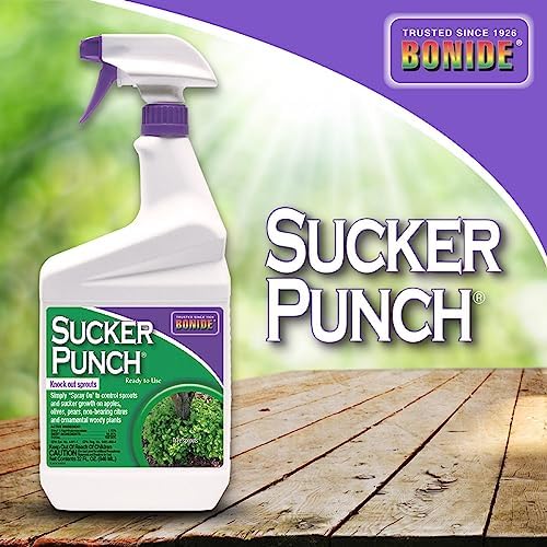 Bonide Sucker Punch, 32 oz Ready-to-Use Spray, Control Unwanted Plant Sprouts, Plant Growth Regulator for Home Garden