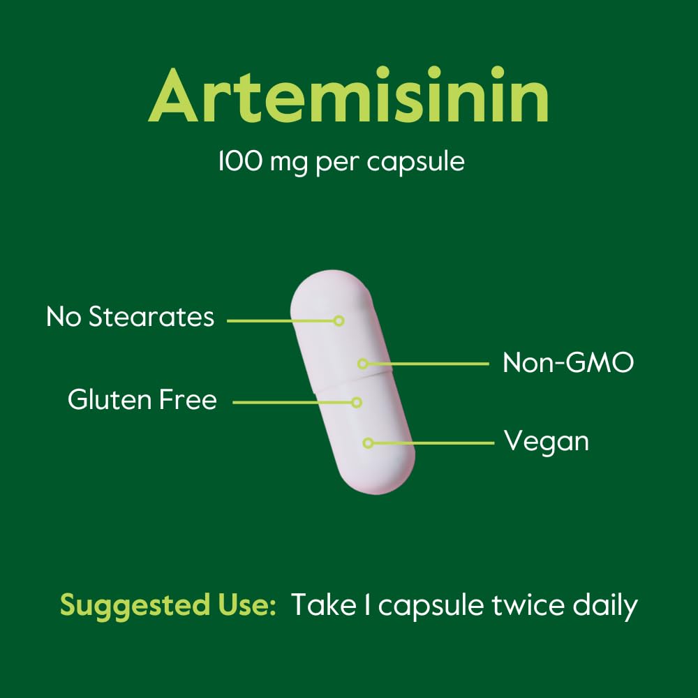 BESTVITE Artemisinin 100mg (240 Vegetarian Capsules) (2-Pack) - No Stearates - No Flow Agents - Vegan - Gluten Free - Non GMO