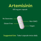 BESTVITE Artemisinin 100mg (240 Vegetarian Capsules) (2-Pack) - No Stearates - No Flow Agents - Vegan - Gluten Free - Non GMO