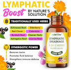 Lymphatic Drainage Drops - Lymph Detox Cleanse & Immune Support - Lymphatic Drainage Supplements with Echinacea, Dandelion, Burdock - Support Cellulite Massager & Lymphatic Drainage Tool (2 Fl Oz)