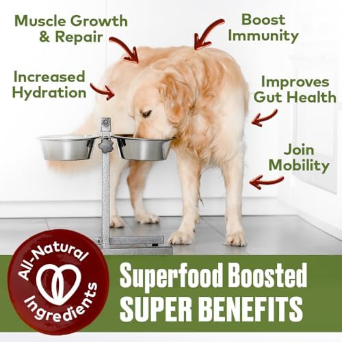 Mobility Support Beef Bone Broth for Dogs | Hip & Joint Support for Dogs | Glucosamine & Amino Acid Boosted | Human Grade Ingredients | Just add Water | Made in USA, 16 oz, 2 Pack