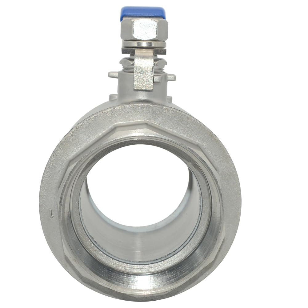 DAN SPEED 3" NPT Female 316 Stainless Steel Full Port Ball Valve Vinyl Handle WOG1000 (3 inch)
