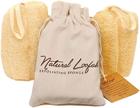 All Natural Loofah Sponge, Pack of 2 Real Egyptian Bath & Shower Exfoliating Loofa Scrubber Sponges for Face, Back & Body, Eco Friendly, No Toxic Chemicals, 6" x 6" by Crafts of Egypt