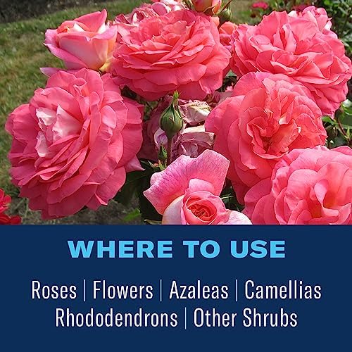 BioAdvanced All-In-One Rose and Flower Care, Granules, 4 lb