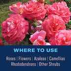 BioAdvanced All-In-One Rose and Flower Care, Granules, 4 lb