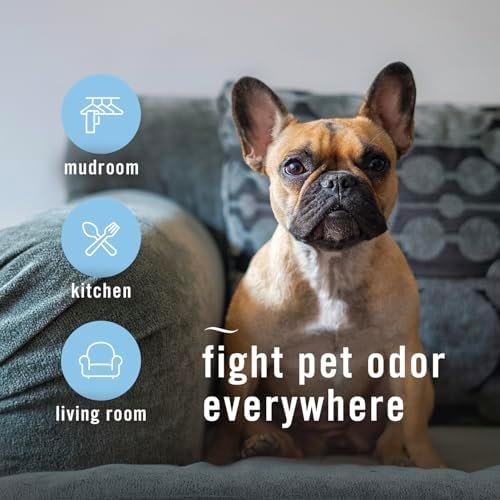 Febreze Air Mist Air Freshener Spray, Odor-Fighting Room Spray, Air Fresheners for Home and Bathroom and Kitchen, Aerosol Can, HD Pet Odor Fighter Scent, 8.8oz, 3 Count
