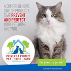 Plus Flea & Tick Foaming Shampoo & Wash for Cats & Kittens Over 12 Weeks ; Sensitive Skin Flea Treatment for Cats and Kittens ; Kills Adult Fleas, Ticks, and Lice On Contact ; 10 Oz