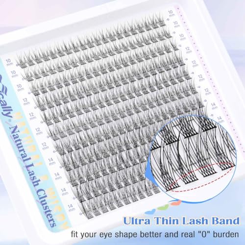 Natural Lash Extension Kit Cluster Lashes Kit Cluster Eyelash Extension Kit 220Pcs C Curl DIY Eyelash Extension Kit Short 10-14MM Individual Lashes Kit with Lash Remover by Newcally