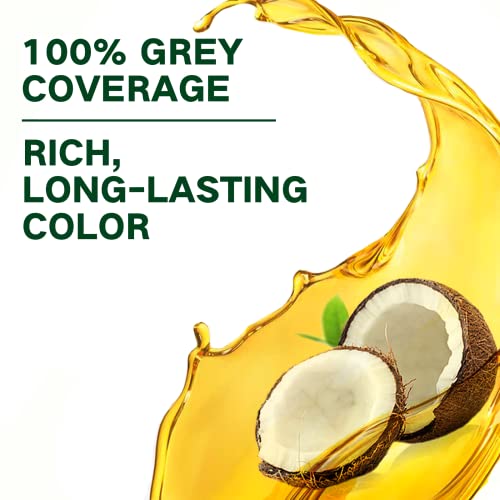 Fvquhvo Coconut Red Wine Hair Dye Shampoo Color Covers Gray Hair,Instant Red 3 in 1,Red 16.90Fl Oz for Women & Men,Long lasting Easy to Apply Red All Types, 1.17 pounds, 16.9 Fl Oz