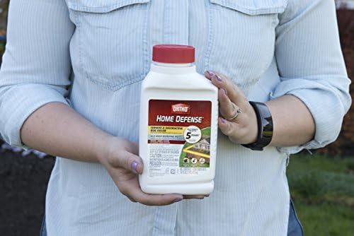 Ortho Home Defense Termite & Destructive Bug Killer, 16 oz.