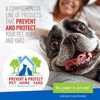 Plus Flea & Tick Foaming Shampoo & Wash for Dogs & Puppies Over 12 Weeks | Sensitive Skin Flea Treatment for Dogs and Puppies | Kills Adult Fleas, Ticks, and Lice On Contact | 10 Oz