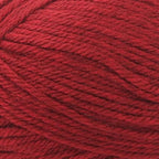 Lion Brand Basic Stitch Anti-Pilling Red Heather 202-400 (3-Skeins - Same Dye Lot) Worsted Medium #4 Acrylic Yarn for Crocheting and Knitting with Project Bag