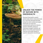 Enerhealth Botanicals NutriCafé Pure Cordyceps – Fairly Traded, Low Acid, Medium Roast Whole Arabica Bean Coffee, Infused with Organic Mushroom Extracts to Increase Vitality, Stamina, & Energy – 12 oz