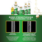 Palmer's Amino Bonding Complex Hair Treatment, Leave-In Conditioner Spray with Coconut Oil & Vitamin E, Heat Protectant, Anti Frizz, Strengthens & Protects Hair Growth, All Hair Types, 6.7 fl. oz