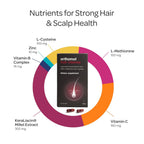 Orthomol Hair Intense, Micronutrients for Healthy Hair, Biotin, Vitamin B6, B12, Zinc, Selenium, Copper, Thiamin, L-methionine, L-cysteine, Pantothenic Acid, Capsules, 30-Day Supply