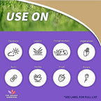 Bonide Captain Jack's Copper Fungicide, 32 oz Ready-to-Spray Disease Control Solution for Organic Gardening, Controls Leaf Curl