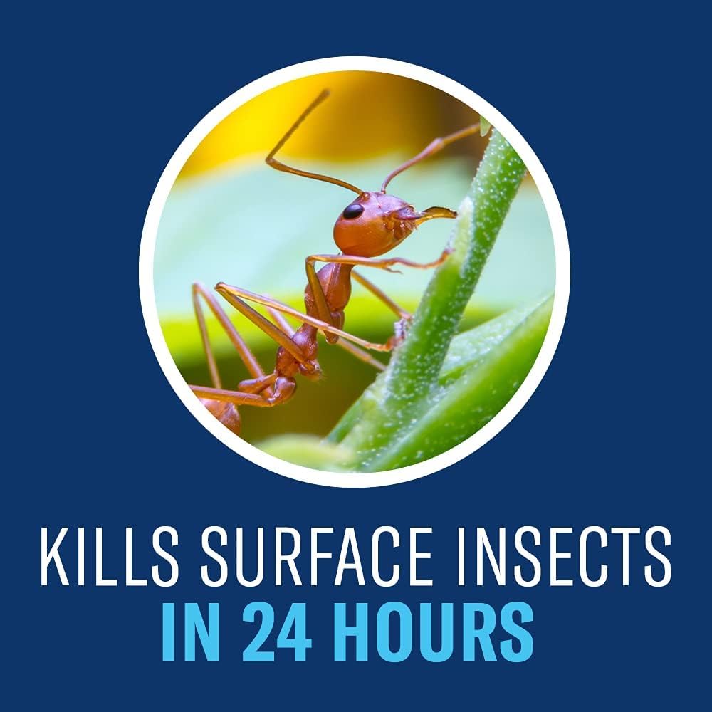 BioAdvanced Complete Brand Insect Killer Granules - Kills Insects Above and Below Ground - Outdoor Insecticide - Up to 3 Months Protection - 10 lb Bag