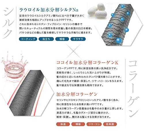 アイナボーテ トリートメント不要 PPTコラーゲン＆シルクシャンプー400ml 脂性肌用(男性) 約４ヶ月分