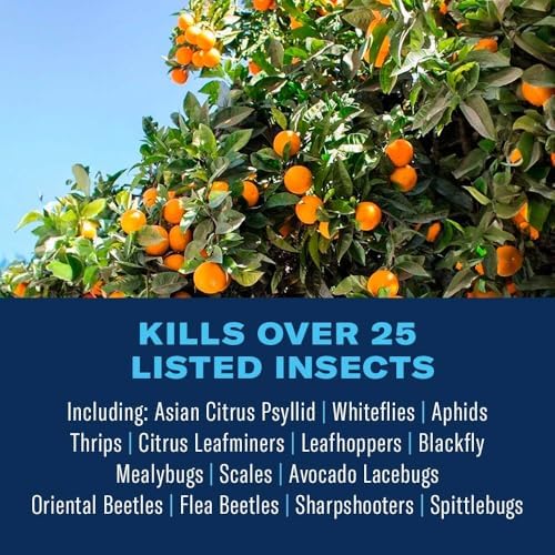 BioAdvanced Fruit & Citrus Tree, Concentrate, for Insects 32 oz