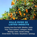 BioAdvanced Fruit & Citrus Tree, Concentrate, for Insects 32 oz