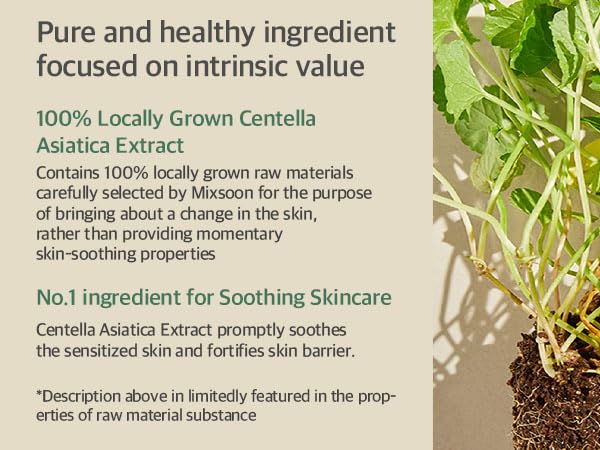 mixsoon Soondy Centella Asiatica Essence-Soothing, Calming and Hydrating for Face, Jeju Island Cica Extracts, Gentle Formula for Balanced, Healthy Skin 100ml / 3.38 fl.oz. Korean Glass Skin Care