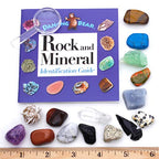 DANCING BEAR -15 Pc Rock & Mineral Collection with Collector Box/Display Case, ID Sheet, Rock Book, Magnifying Glass, Beginner Starter Set, Kids' Gemstone Crystal Kit, STEM Geology Science Education
