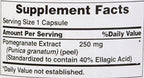 Puritan's Pride Premium Pomegranate Extract 250mg, Dietary Supplement for Antioxidant Health and Healthy Aging Program, 40% Ellagic Acid,120 Rapid Release Capsules (Packaging May Vary) (Pack of 2)