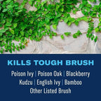 BioAdvanced Extended Control Brush Killer, Ready-to-Use 1.3 Gallon