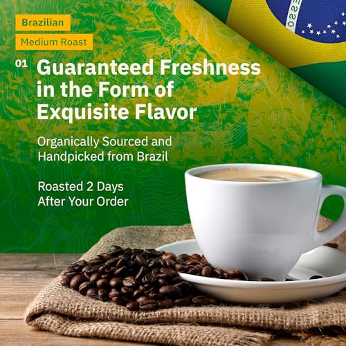 Brazilian Santos Medium Roast Coffee Beans - Single Origin Arabica Coffee Beans, Freshly Roasted to Order, Whole Bean Coffee Low Acid with Smooth Cocoa Notes, Specialty Grade and Fair Trade - 5LB