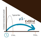 Extend Nutrition Sugar Free High Protein Bars, Perfect Sugar Free Snacks for Diabetes, Protein Bars for Hunger Control & Steady Energy, Low Carb, Keto, Intermittent Fasting, Rich Chocolate, 12 Count