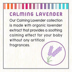 Little Twig Detangling Conditioner, Natural Conditioner with Plant Derived Formula, Hair Conditioner with Essential Oils and Extracts, Suitable for Whole Family, Lavender, 8.5 fl oz.