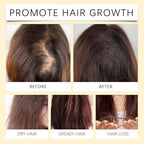 Batana Oil for Hair Growth, 4-in-1 Liquid Batana Oil, 100% Organic Batana Oil from Honduras with Rosemary with Rosemary, Pumpkin Seed Oil, Castor Oil for All Hair Types 30ml / 1 Fl Oz (1PCS)