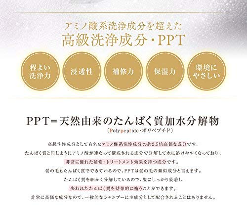 アイナボーテ トリートメント不要 PPTコラーゲン＆シルクシャンプー400ml 脂性肌用(男性) 約４ヶ月分