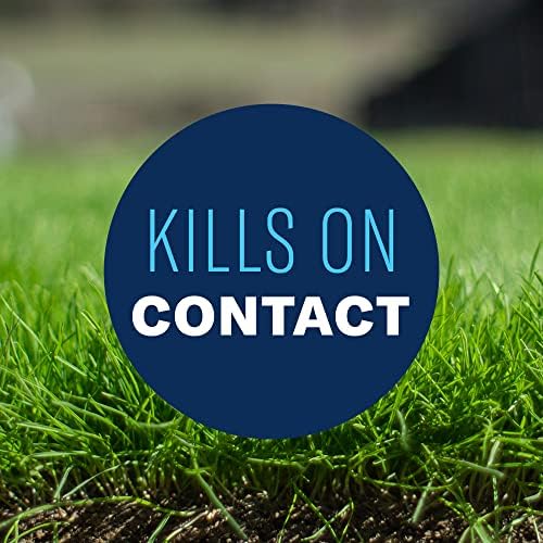 BioAdvanced All-In-One Lawn Weed and Crabgrass Killer I, Concentrate, 40 oz