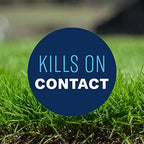BioAdvanced All-In-One Lawn Weed and Crabgrass Killer I, Concentrate, 40 oz