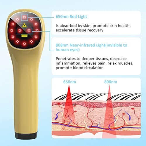 Portable Red Light Therapy for Dogs, Handheld Cold Laser Therapy Vet Device & Infrared Light Therapy for Pet, Muscle & Joint Pain Relief from Dog Arthritis