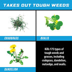 Ortho GroundClear Weed & Grass Killer Super Concentrate, with Empty Reusable Bottle, Comfort Wand & 2-5 oz Refill Pouches
