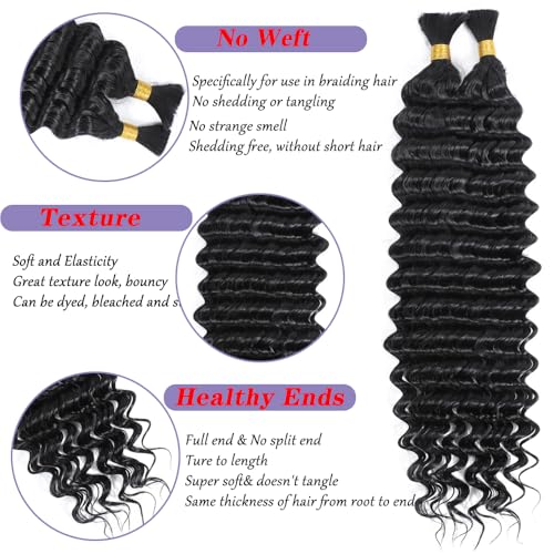 Human Braiding Hair for Boho Braids Bohemian Deep Wave Bulk Human Braiding Hair 100% Unprocessed Brazilian Virgin Human Hair Extensions 2 Bundles Micro Braiding Hair (18 inch,Natural Black)