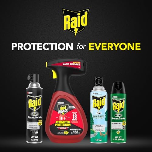 Raid Wasp and Hornet Killer (17.5 Ounce (Pack of 1))