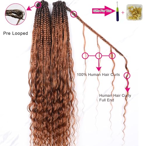 BLG Crochet Boho Box Braids with Human Hair Curls Brown Curly Human Hair Boho Crochet Braids with Curly Ends Pre Looped Bohemian Crochet Braids for Black Women 24 Inch 2 Pack 80 Strands