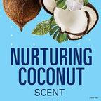 Secret Clear Gel Antiperspirant and Deodorant, Coconut Scent, 2.6 Ounce (Pack of 2)