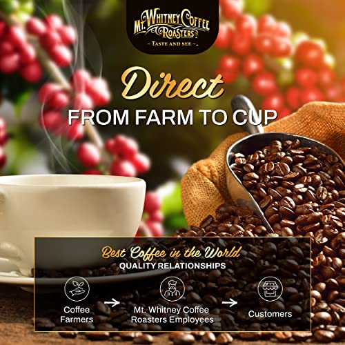Mt. Whitney Guatemala Adiesto Cooperative Organic Low Acid Coffee (Ground, 5 lb)