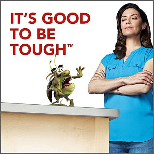 Raid Ant & Roach Spray Outdoor Fresh 17.50 oz (Pack of 3)