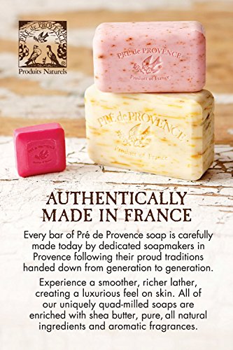 Pre de Provence Artisanal Soap Bar, Enriched with Organic Shea Butter, Natural French Skincare, Quad Milled for Rich Smooth Lather, 8.8 Ounce, Coconut