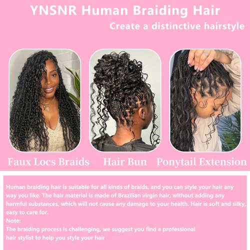 Human Hair Braiding Hair 14 Inch Deep Wave Bulk Human Hair for Braiding 10A Brazilian Curly Human Hair Extensions for Boho Braids Wet and Wavy Color 27# Honey Blonde Human Braiding Hair 2 Bundle 100g